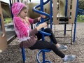 IMG_0329